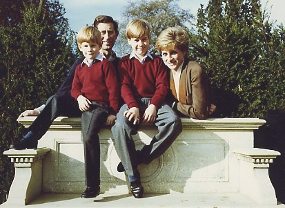  Princess Diana and the Princes