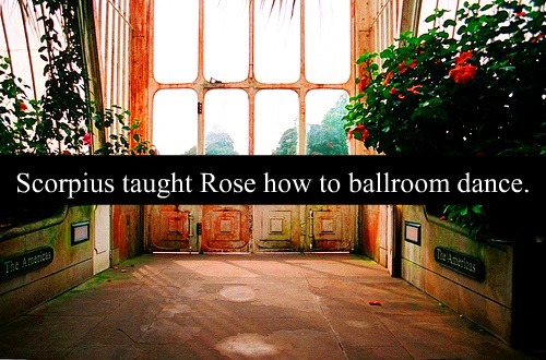  Rose Weasley Confessions