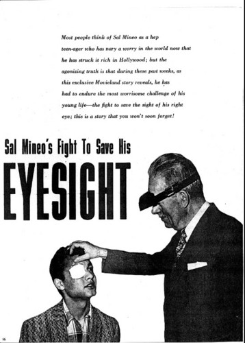  Sal's eye sight