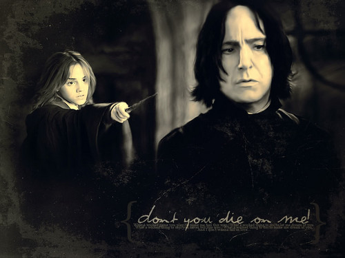  Severus Snape and Hermione