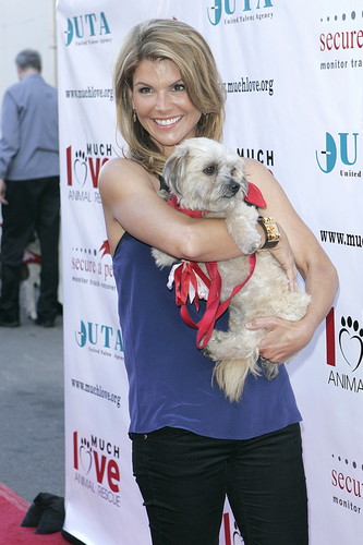 The 3rd Annual Much 사랑 Animal Rescue Bow Wow Wow Hollywood Event