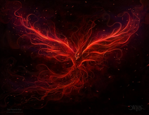 The Phoenix Rise