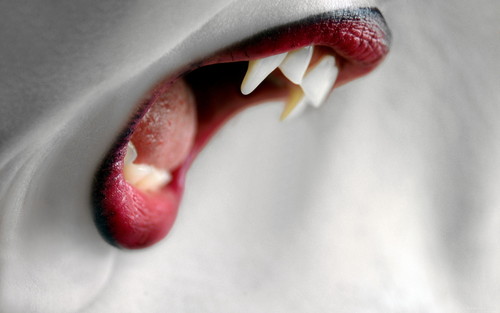 Vampire teeth