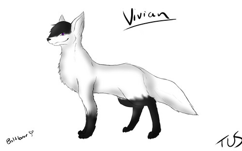 Vivian