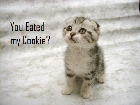  你 Eated My Cookie?! :D