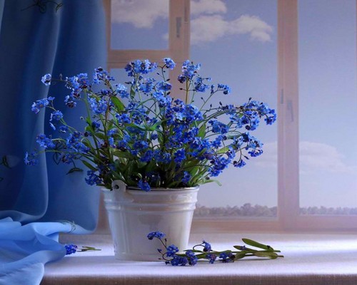  blue flores