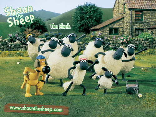  shaun the 羊