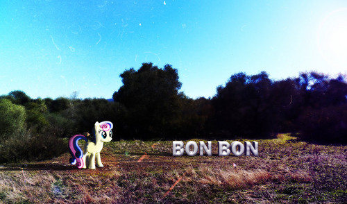  Bon Bon achtergrond