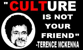  Culture Is Not Your Friend