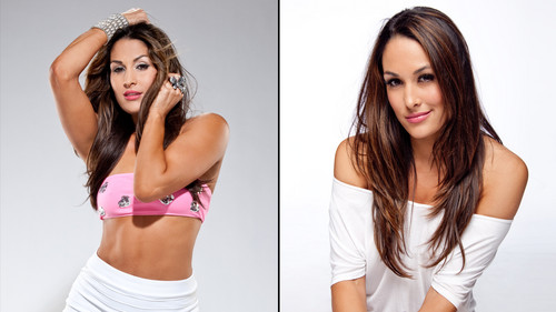  Farewell To the Bella Twins