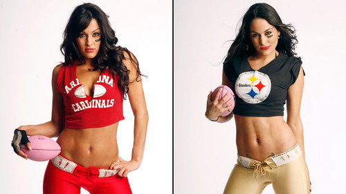  Farewell to the Bella Twins