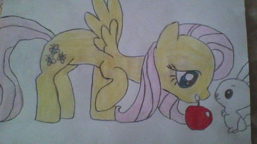  Fluttershy and Angel
