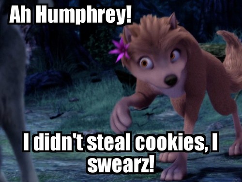  I didn't steal cookies!