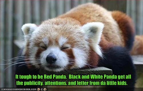  It's Hard Being Red Panda