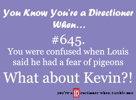  Kevin the pigeon