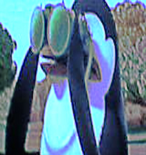  Kowalski With Binoculars