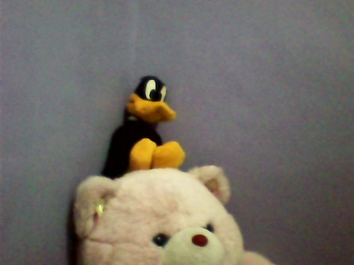  My Addictness brought me at this point XD (Daffy canard stuff toy)