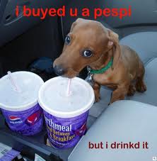  Pepsi Dog