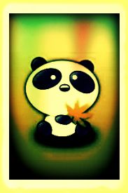  regenboog Panda
