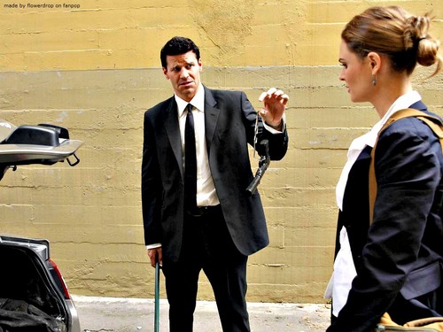  Seeley Booth wallpaper