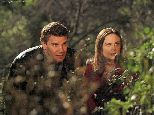  Seeley Booth 壁纸