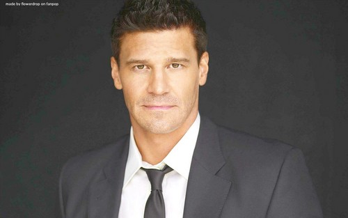  Seeley Booth achtergrond