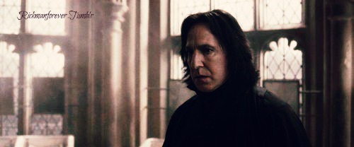 Severus Snape  my  Half  Blood Prince.