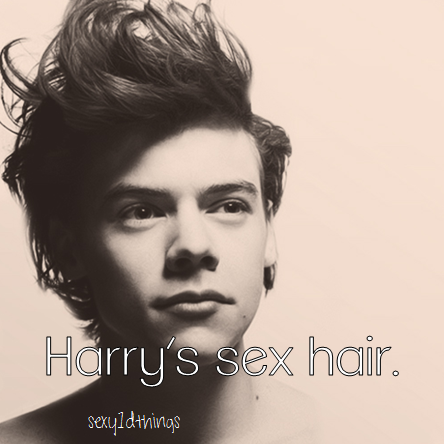  Sexy Harry Styles Things