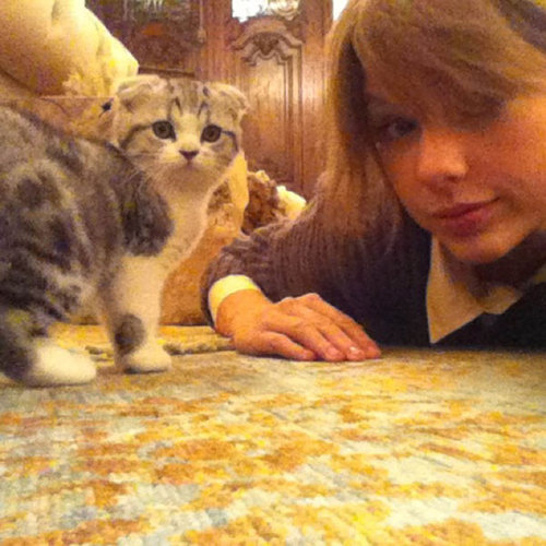  Taylor and her cat !
