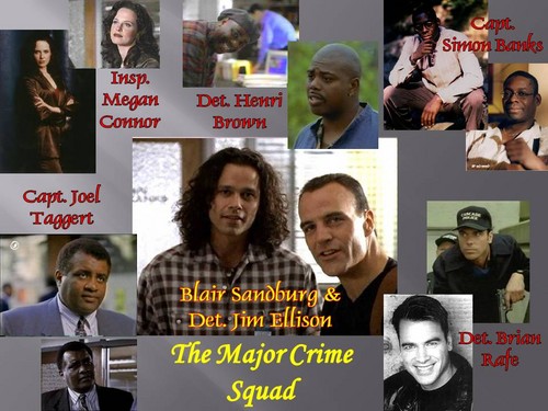  The Major Crime Squad