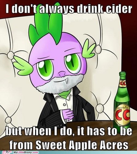  The most interesting dragon in the world
