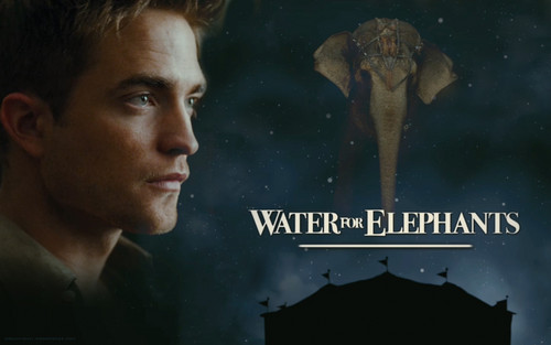  Water for Elephants پیپر وال