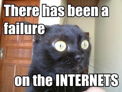 lolcat is a concerned cat