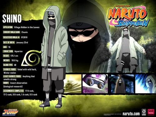  NARUTO -ナルト- characters profiles