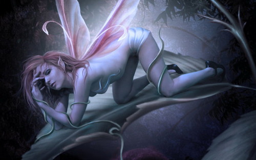  sensual fairy