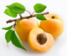 aprikot