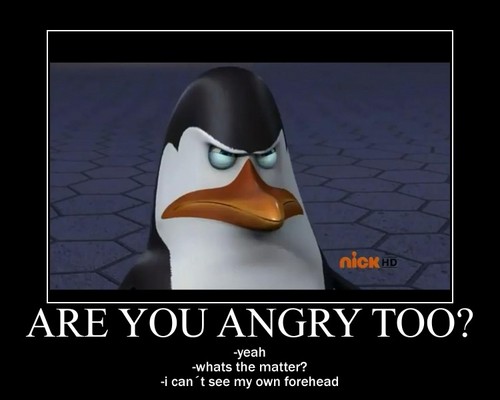 Are you angry too?