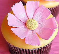  fiore cupcakes