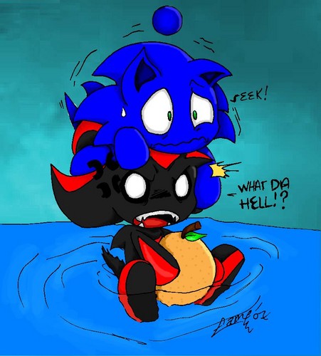  Funny Pic Sonic Shadow ciao