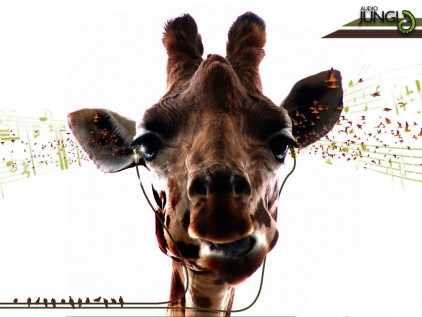  Giraffe Hintergrund