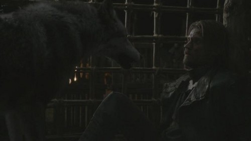  Grey Wind and Jaime Lannister