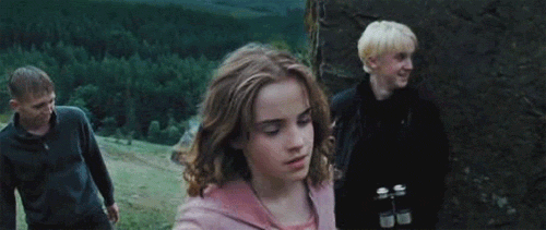  Hermione punches Draco