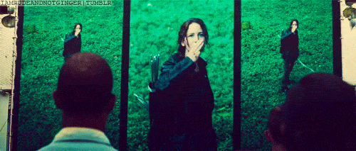  Katniss/District 11