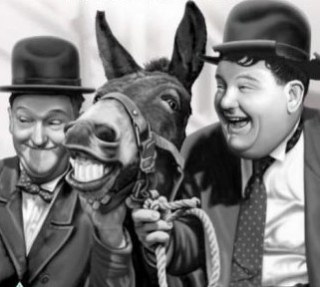  pohon salam, laurel and Hardy