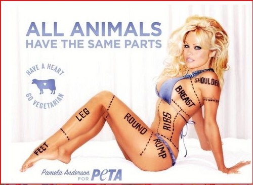  Pamela Anderson...WTF...