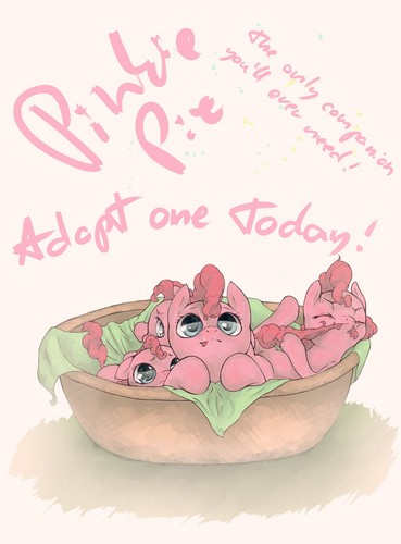  Pinkie Pie for Adoption!!!