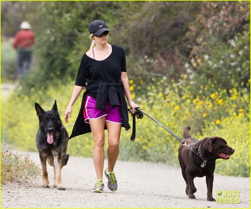  Reese Witherspoon Walks the cachorros Before Leaving L.A.