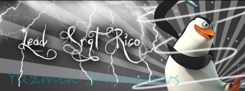  Rico, FaceBook TimeLine Cover