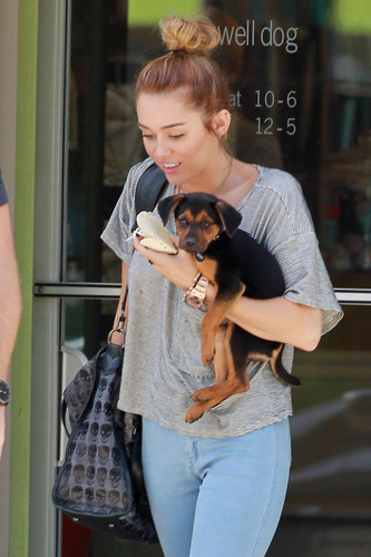  Shopping with Liam and Happy in Studio City [11th May]