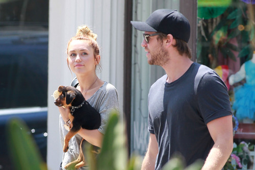  Shopping with Liam and Happy in Studio City [11th May]